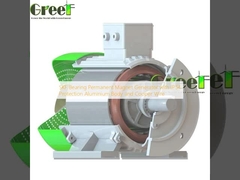 เครื่องกำเนิดไฟฟ้าแม่เหล็กถาวร SKF Bearing พร้อมตัวเครื่องอะลูมิเนียมป้องกัน IP54 และลวดทองแดง