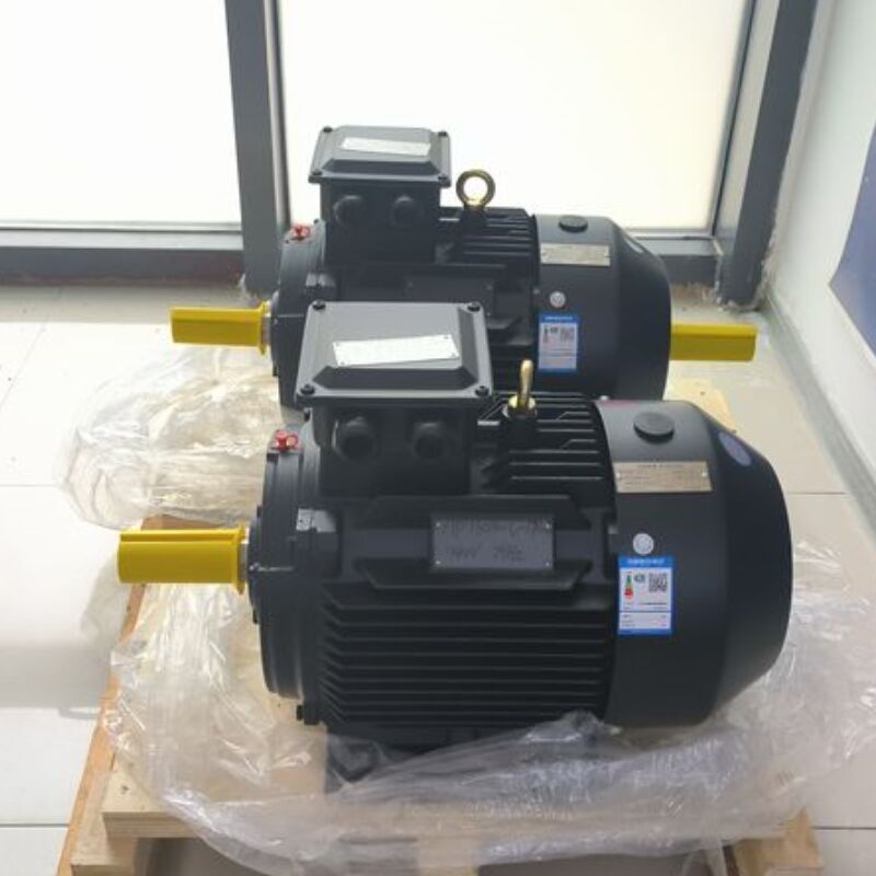 มอเตอร์แม่เหล็กถาวรกำลังพิกัด 750W-5MW พร้อมแรงบิด 0.5 Nm - 20 Nm และประสิทธิภาพ >95% สำหรับระบบอัตโนมัติทางอุตสาหกรรม