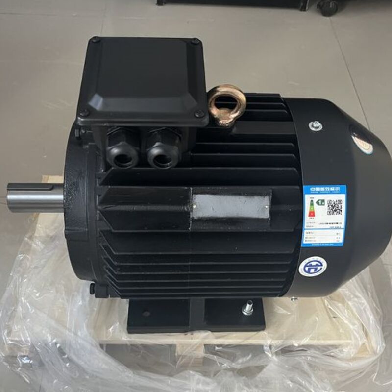 6 Poles Permanent Magnet Motor Air Cooled High Efficiency for Pumps Fans Compressors