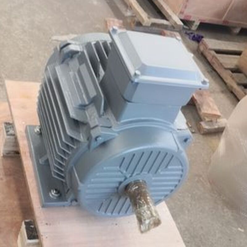 มอเตอร์แม่เหล็กถาวรไร้แปรงถ่านขนาด 24V-1140V ที่มีการจำแนกระดับ IP54 เหมาะสำหรับเครื่องจักรอัตโนมัติและโซลูชั่นพลังงาน