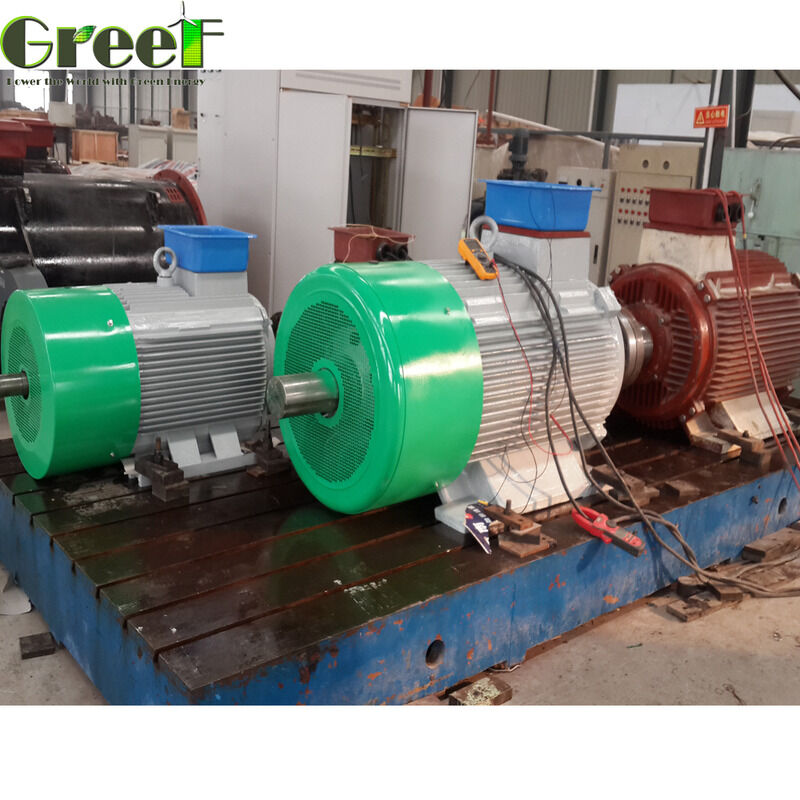 ประสิทธิภาพสูงกว่า 95 เปอร์เซ็นต์ แม็กเนติก มอเตอร์ จํานวนพลังงาน 750w 5Mw ออกแบบเพื่อผลิตและแปรรูป